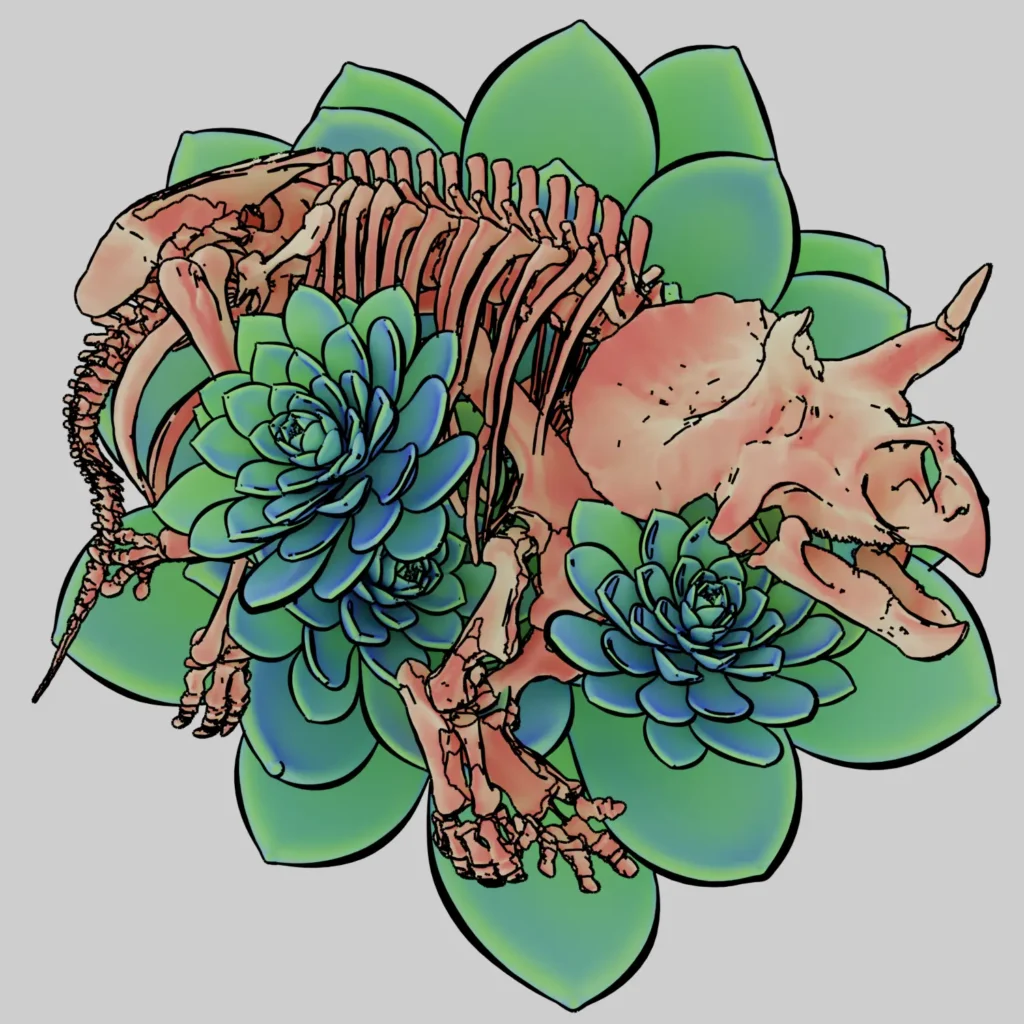 Dinosaur Succlents